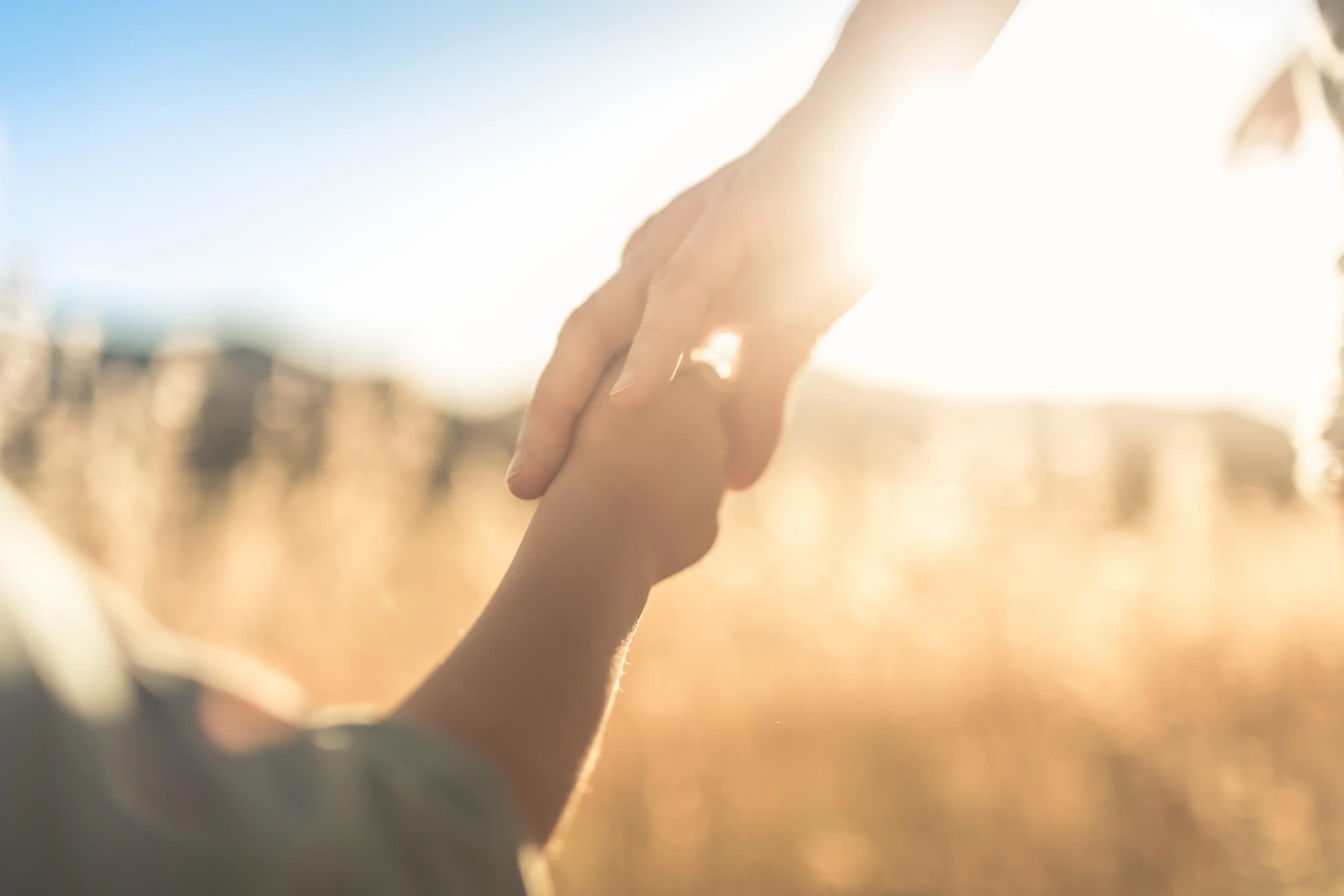 What Are the Legal Standards for Determining Child Custody in South Carolina?